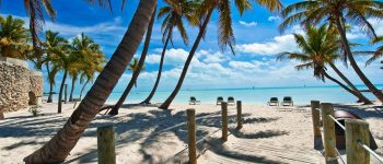 How to Get the Best Scholarships for Florida Schools (UF, FSU & More)