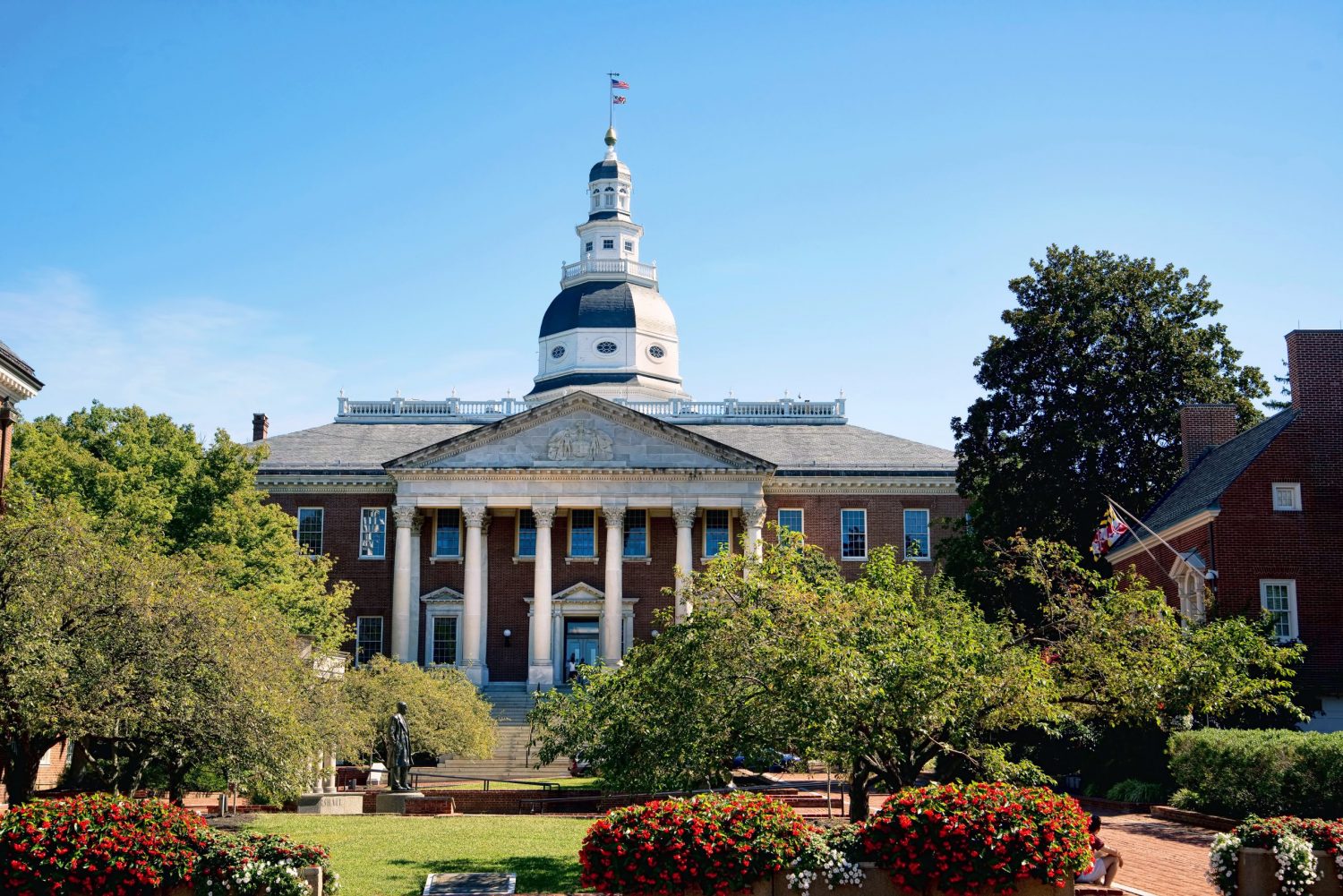 Guide to UMD's Financial Aid Options (How to Get the Most Help