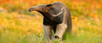 Guide to UCI’s Financial Aid Options (How to Get the Most Help)