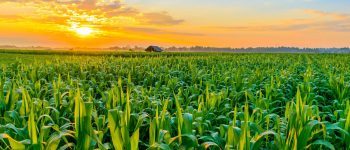 Guide to University of Nebraska’s Financial Aid and Student Loan Options