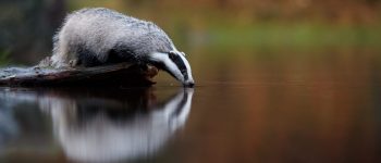 Guide to The University of Wisconsin’s Financial Aid & Student Loan Options