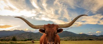 Finding Student Loans in Texas