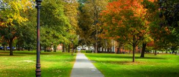 Financial Aid Options for Quinnipiac University Students